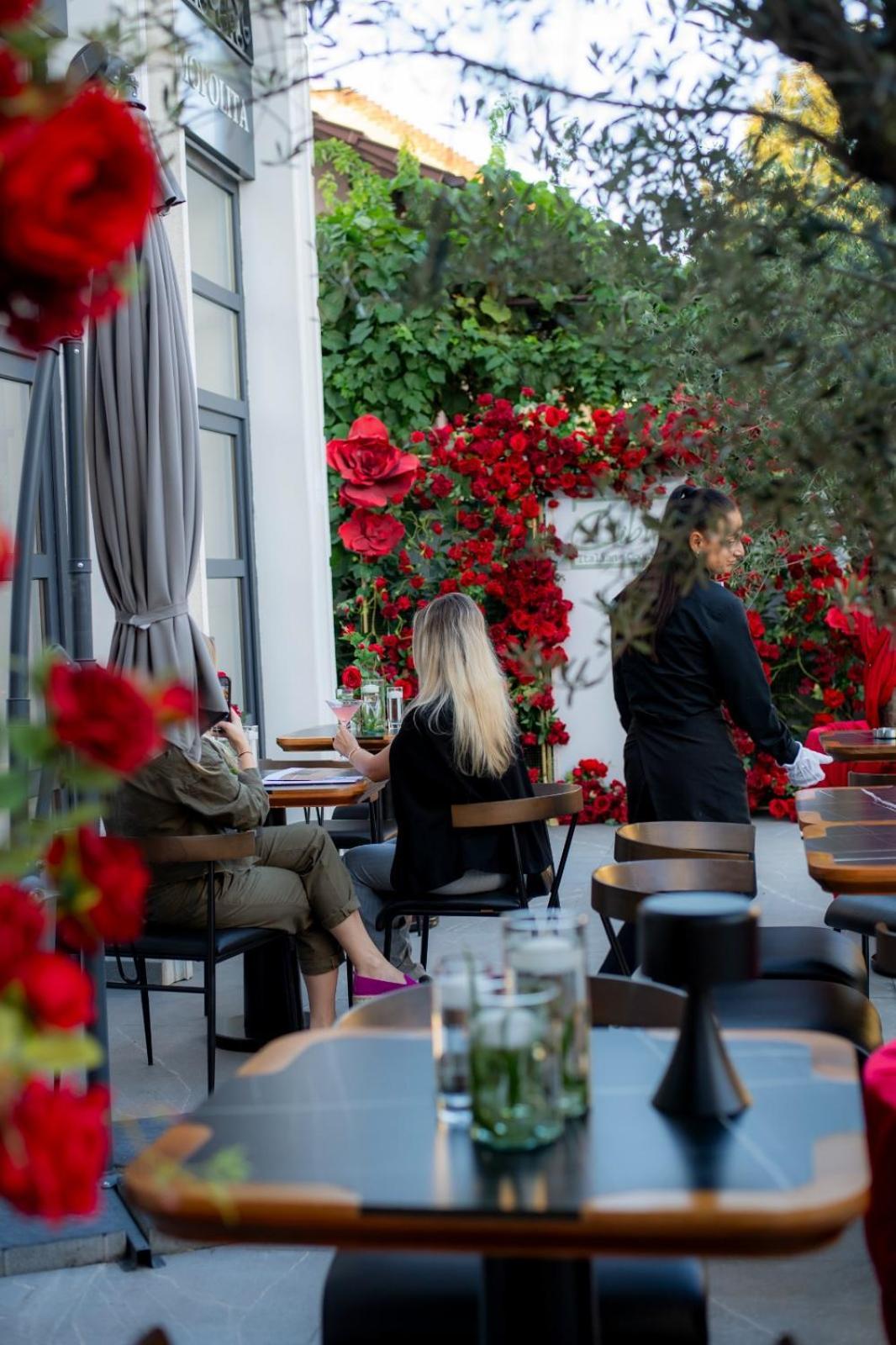 Cosmopolita Boutique Hotel Timisoara Bagian luar foto